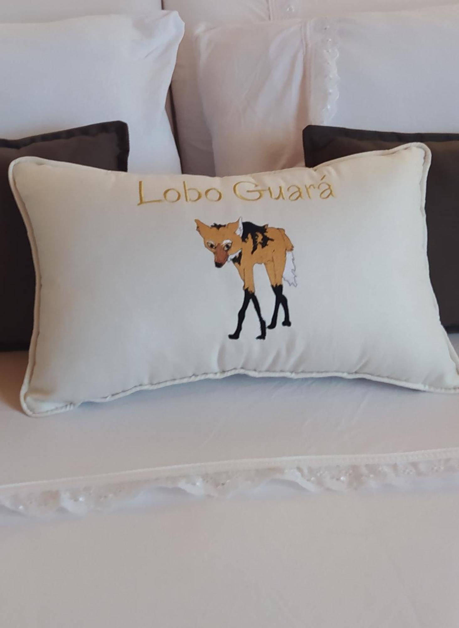 Lobo Guara Hospedagem Loft Alto Paraíso de Goiás Esterno foto